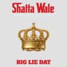 Big Lie Dat